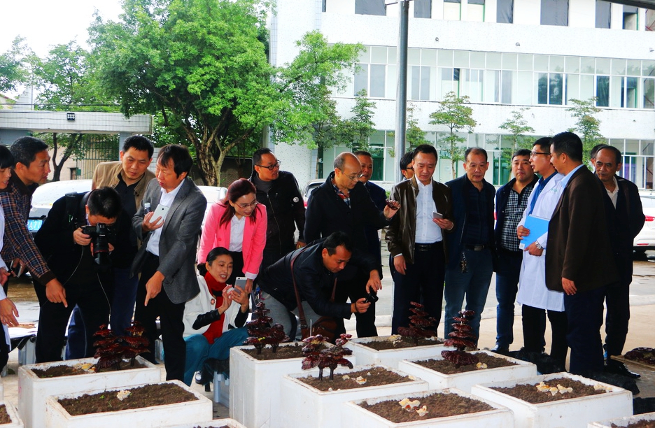 1545753864245506.jpg 1.jpg