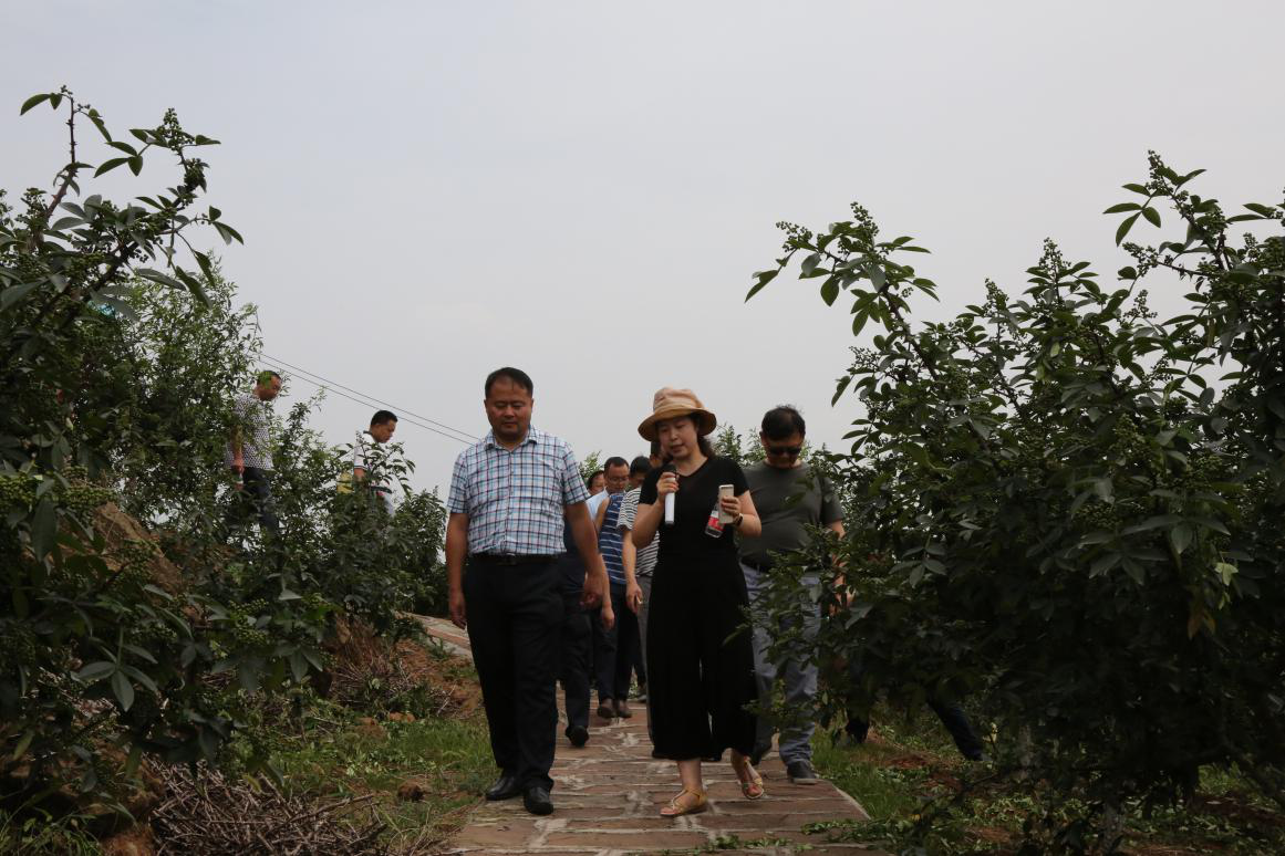 1545755104400804.png 3.png