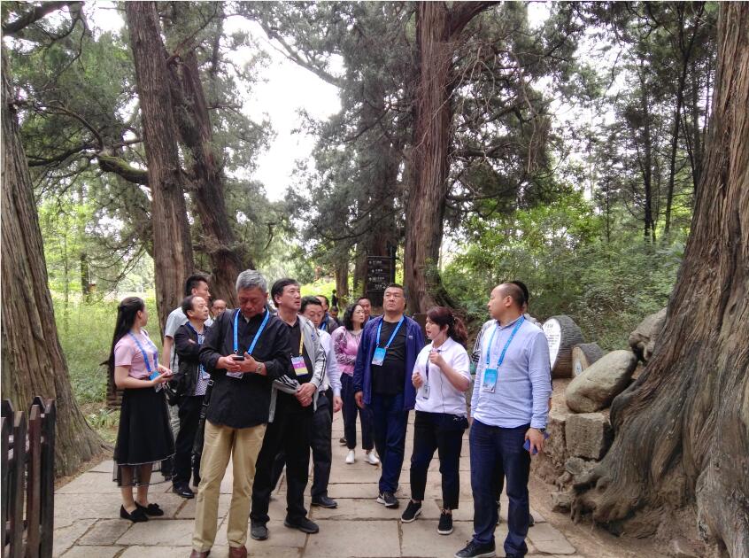 1558512959103320.jpg 采风.jpg