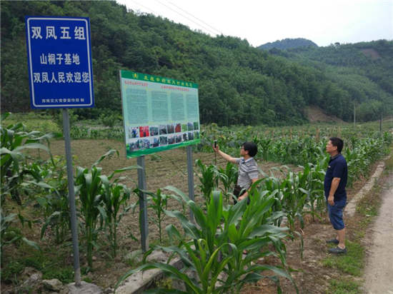 1591325831596820.jpg 333.jpg