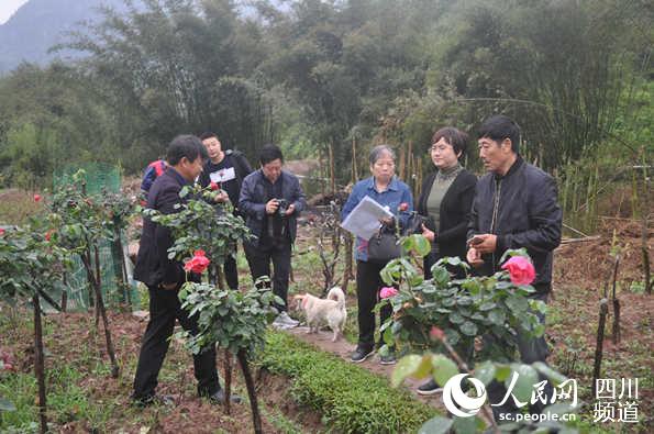 1592205268554454.jpg LOCAL202006010955000496603561486.jpg