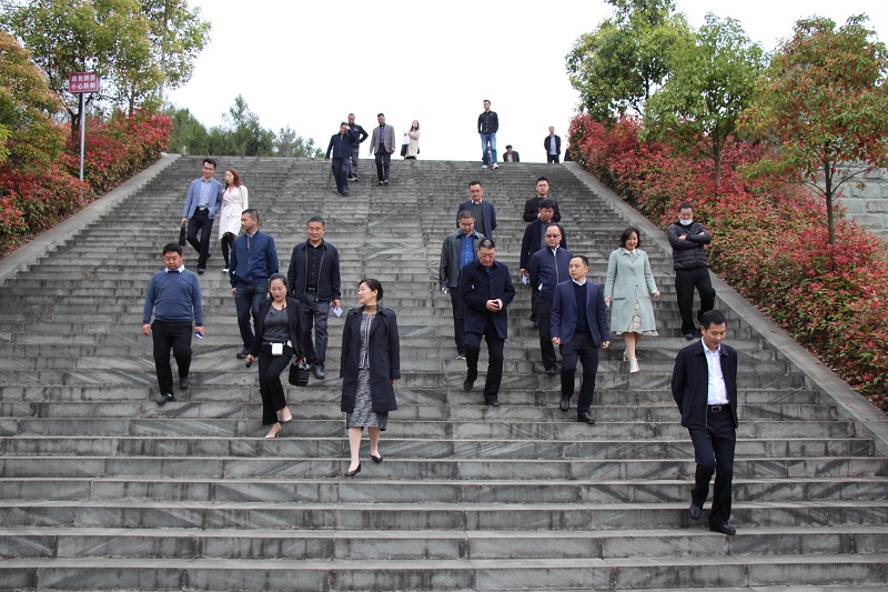 1616061057505424.jpg IMG_4625.JPG