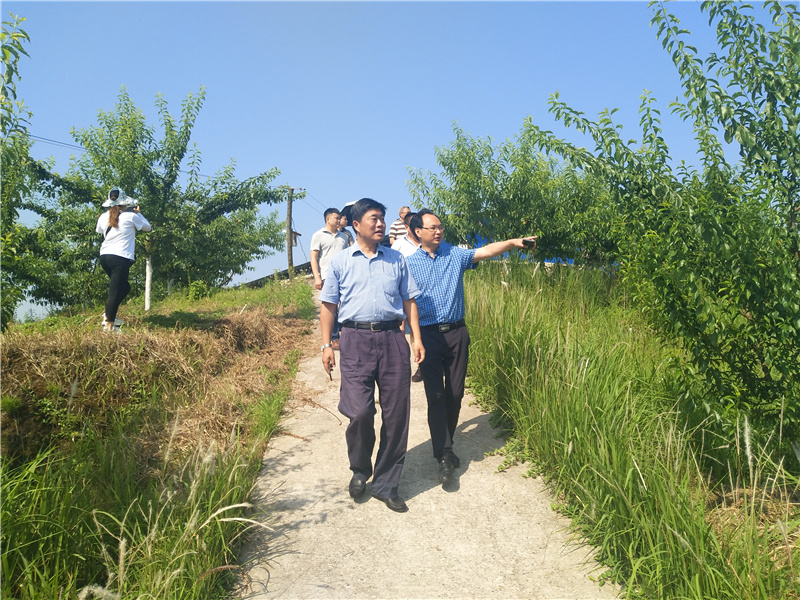 2020.6.5省作协机关党委书记李铁一行调研指导大田村脱贫攻坚工作2.jpg