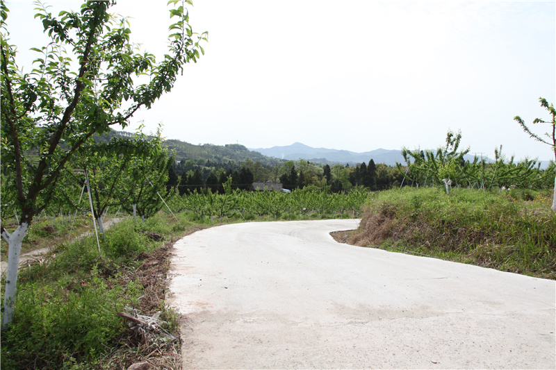 2020年4月11日大田村硕源果业种植基地新硬化的通村公路.jpg