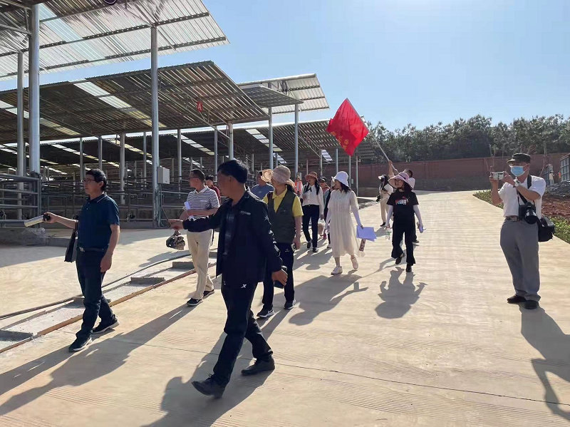 1648345169539556.png 图片2.png