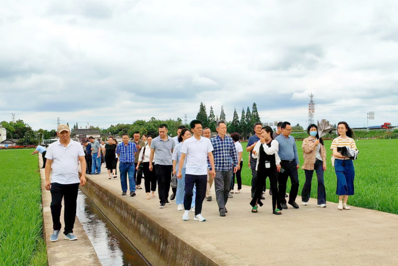 1686020885464454.png 图片4_副本.png