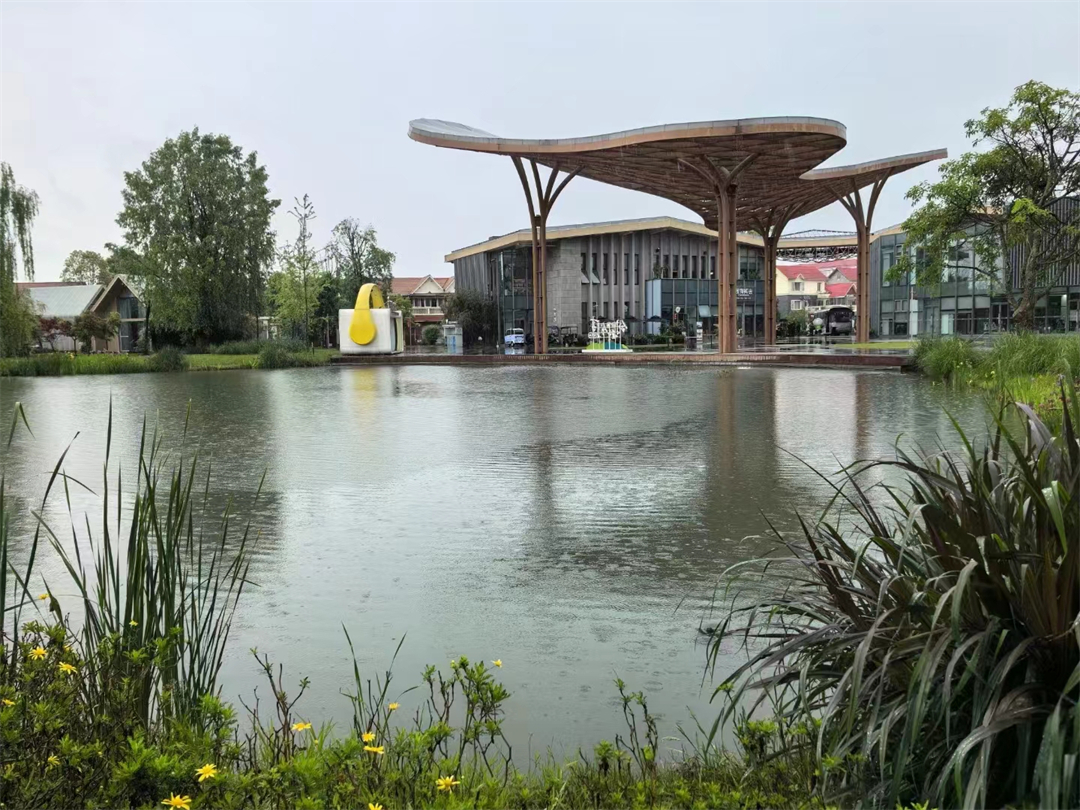 05 雨中的天府农博岛（摄影：周淼葭）.jpg
