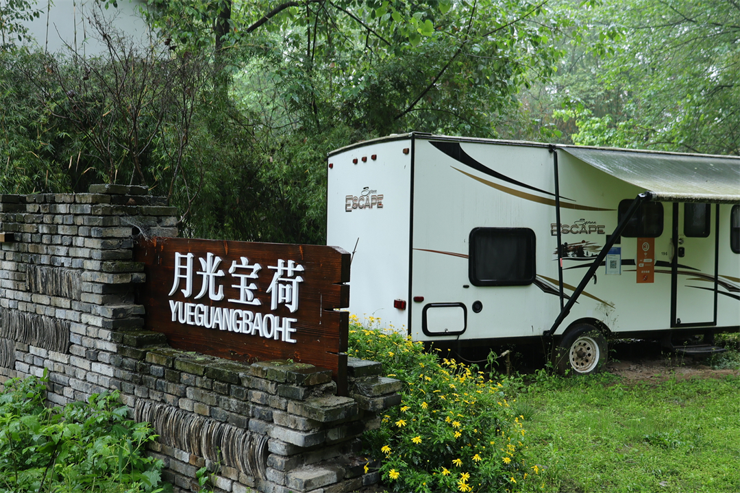 04 雨中的月光宝荷·当代少年研学实践营地（摄影：周淼葭）.jpg