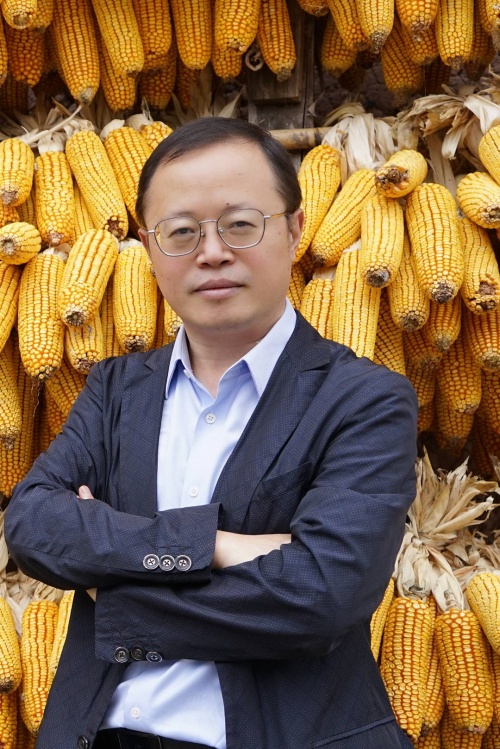 https://www.sczjw.net.cn:443/cms-web/ueditor/download?id=1076715471991783424