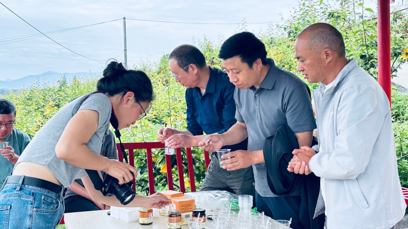 https://www.sczjw.net.cn:443/cms-web/ueditor/download?id=1078496711363313664