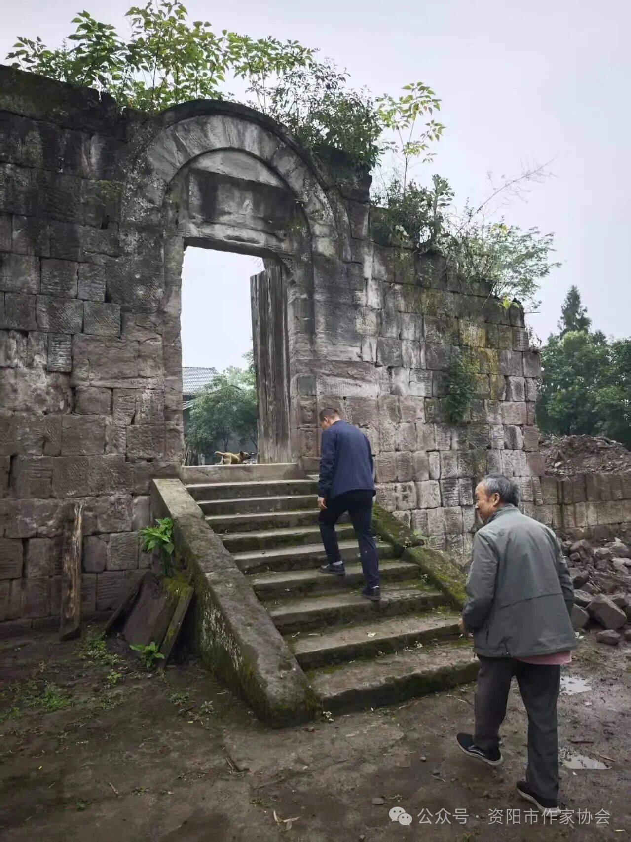 https://www.sczjw.net.cn:443/cms-web/ueditor/download?id=1082535521634009088