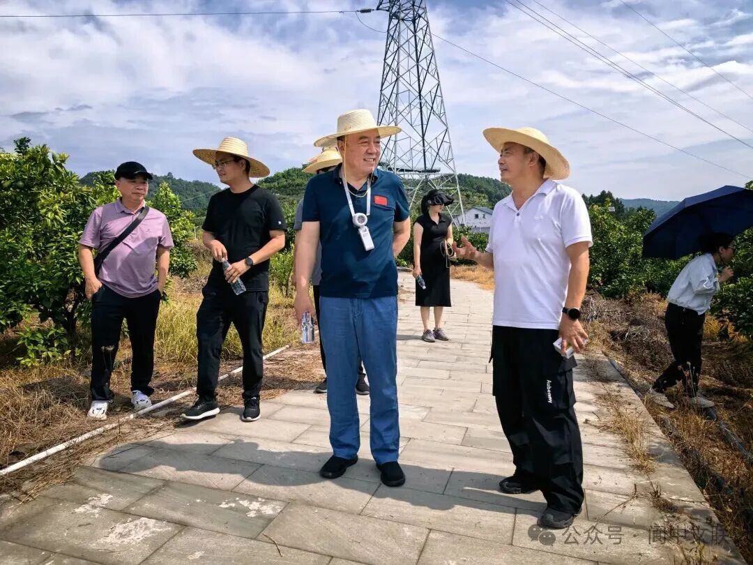 https://www.sczjw.net.cn:443/cms-web/ueditor/download?id=1093700987773566976
