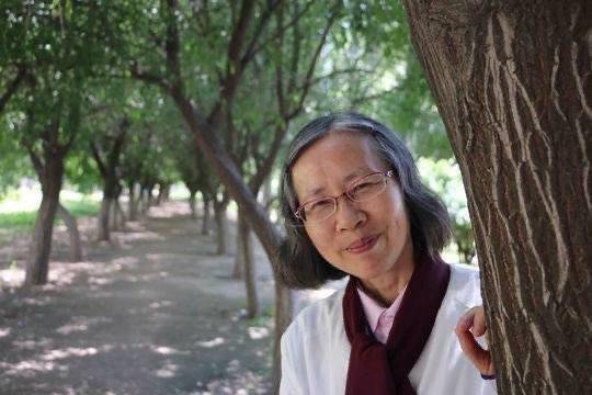 https://www.sczjw.net.cn:443/cms-web/ueditor/download?id=1125280190509400064