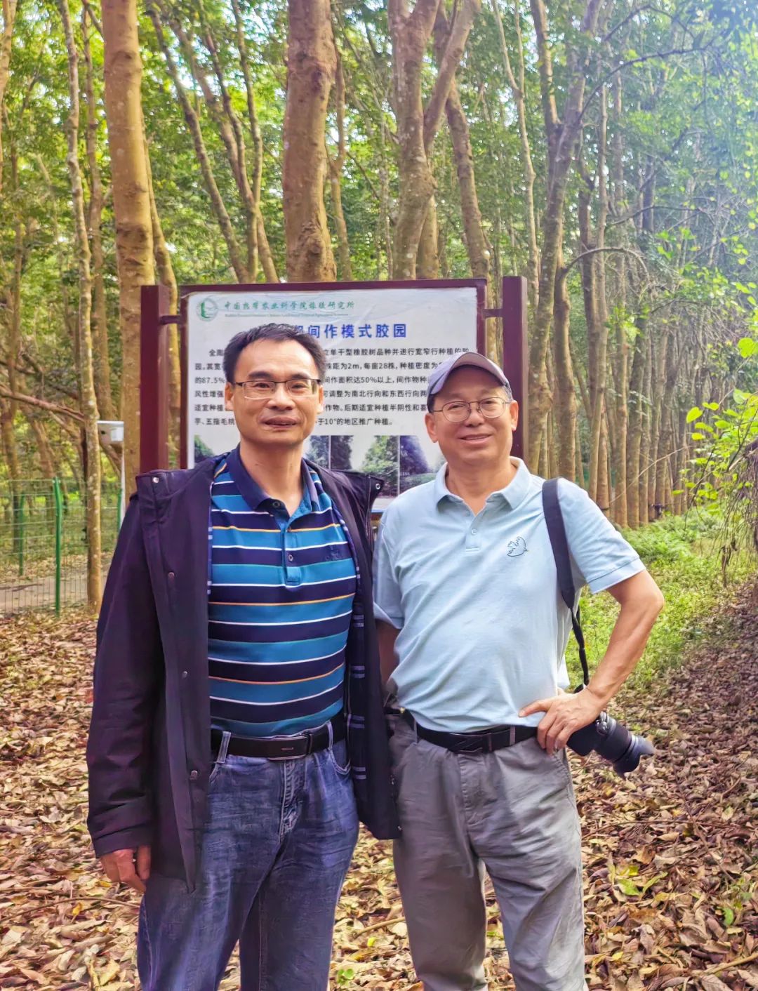 https://www.sczjw.net.cn:443/cms-web/ueditor/download?id=827353844194525184