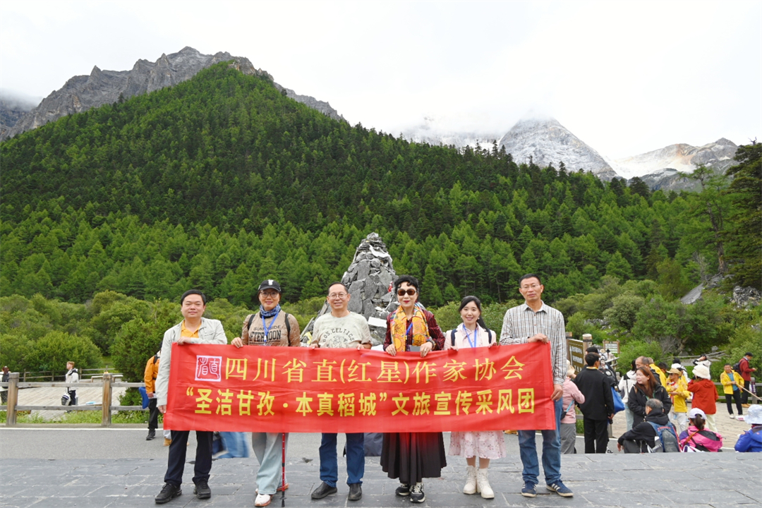 https://www.sczjw.net.cn:443/cms-web/ueditor/download?id=833852048134946816