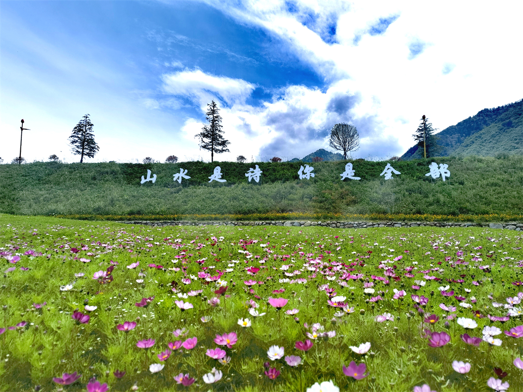 https://www.sczjw.net.cn:443/cms-web/ueditor/download?id=837481899907661824