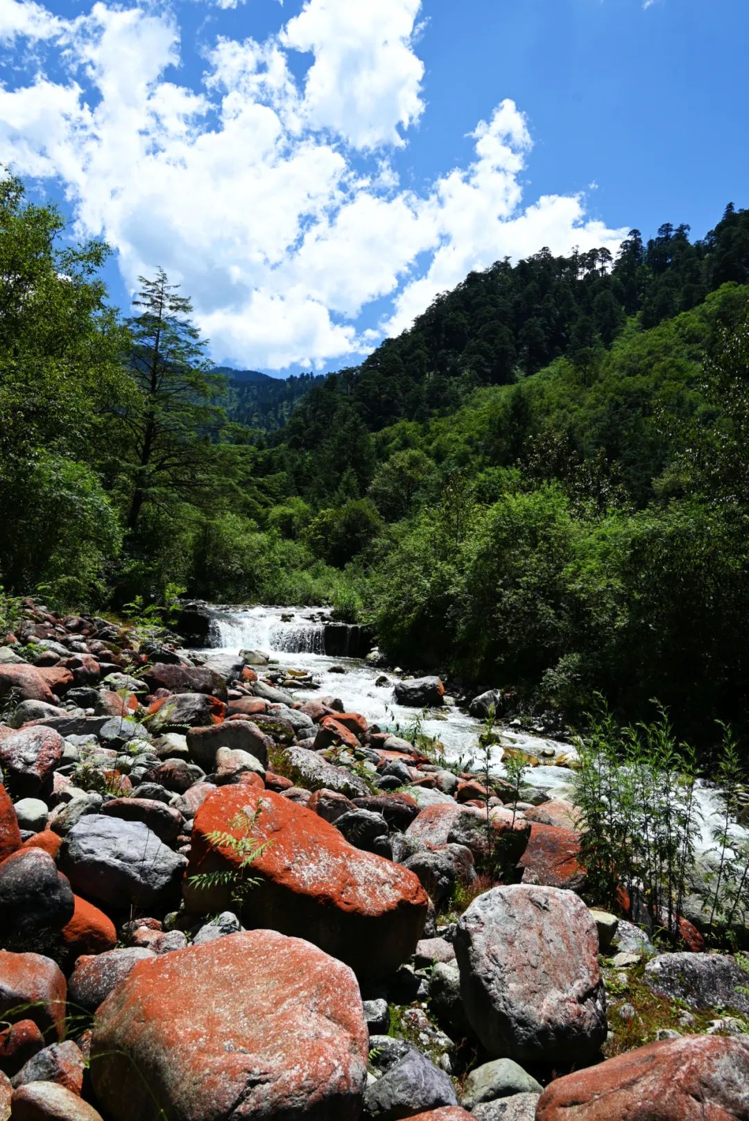 https://www.sczjw.net.cn:443/cms-web/ueditor/download?id=845825700903829504