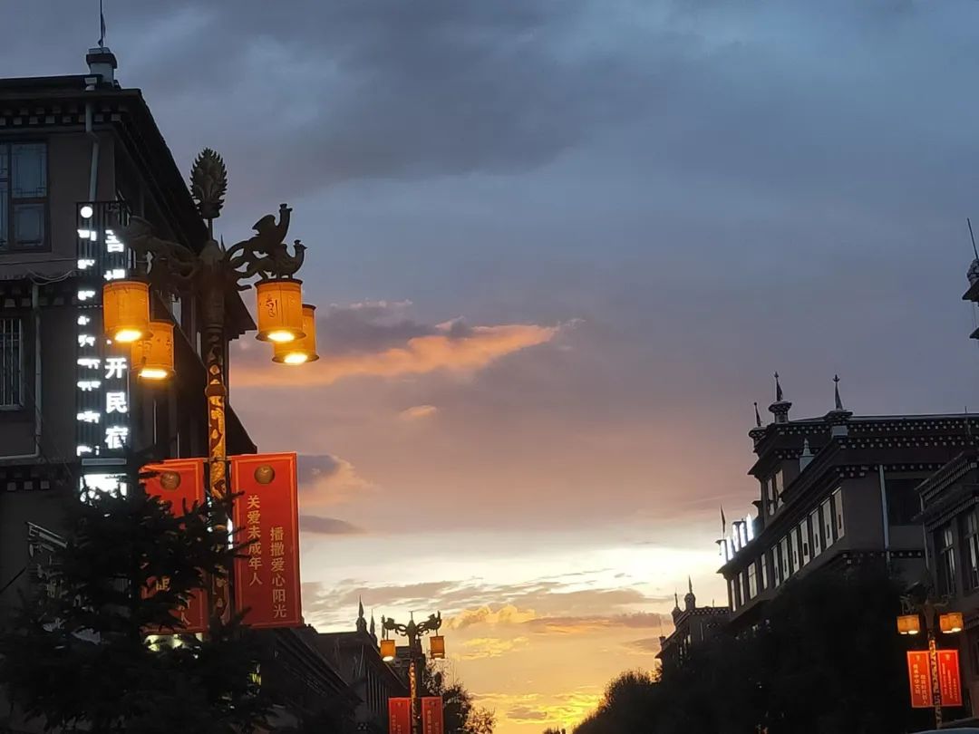 https://www.sczjw.net.cn:443/cms-web/ueditor/download?id=846275279122120704