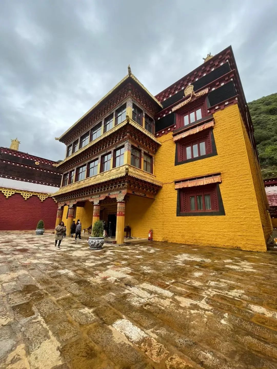 https://www.sczjw.net.cn:443/cms-web/ueditor/download?id=846276066762080256
