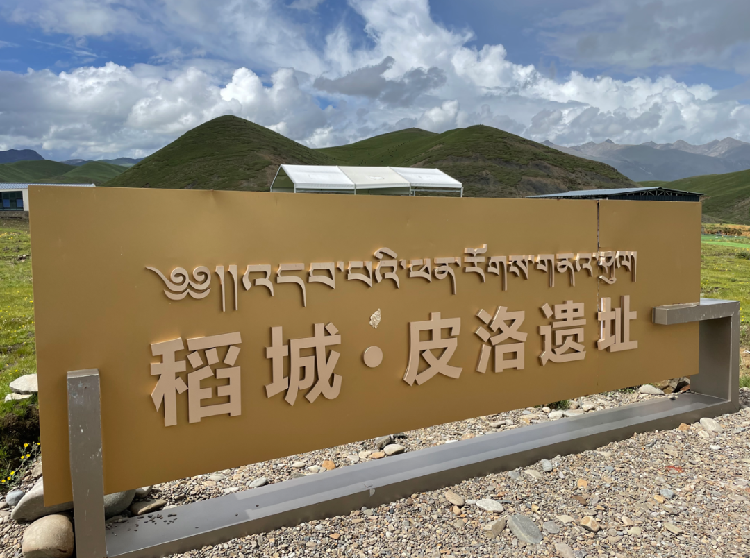 https://www.sczjw.net.cn:443/cms-web/ueditor/download?id=848434542409990144