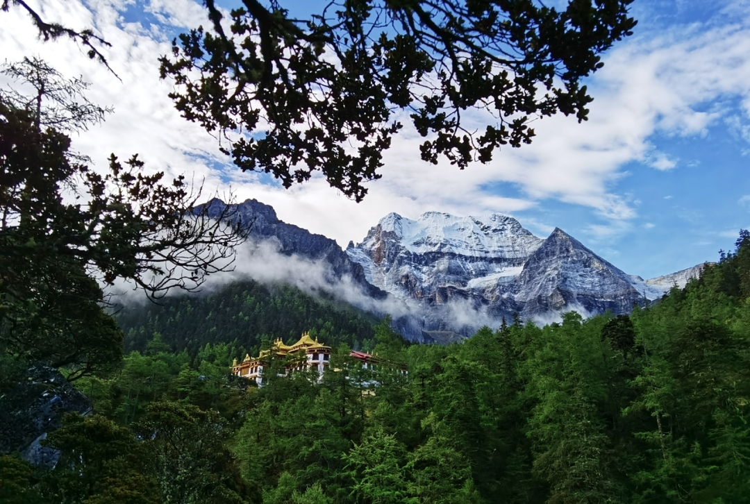 https://www.sczjw.net.cn:443/cms-web/ueditor/download?id=854250423656431616