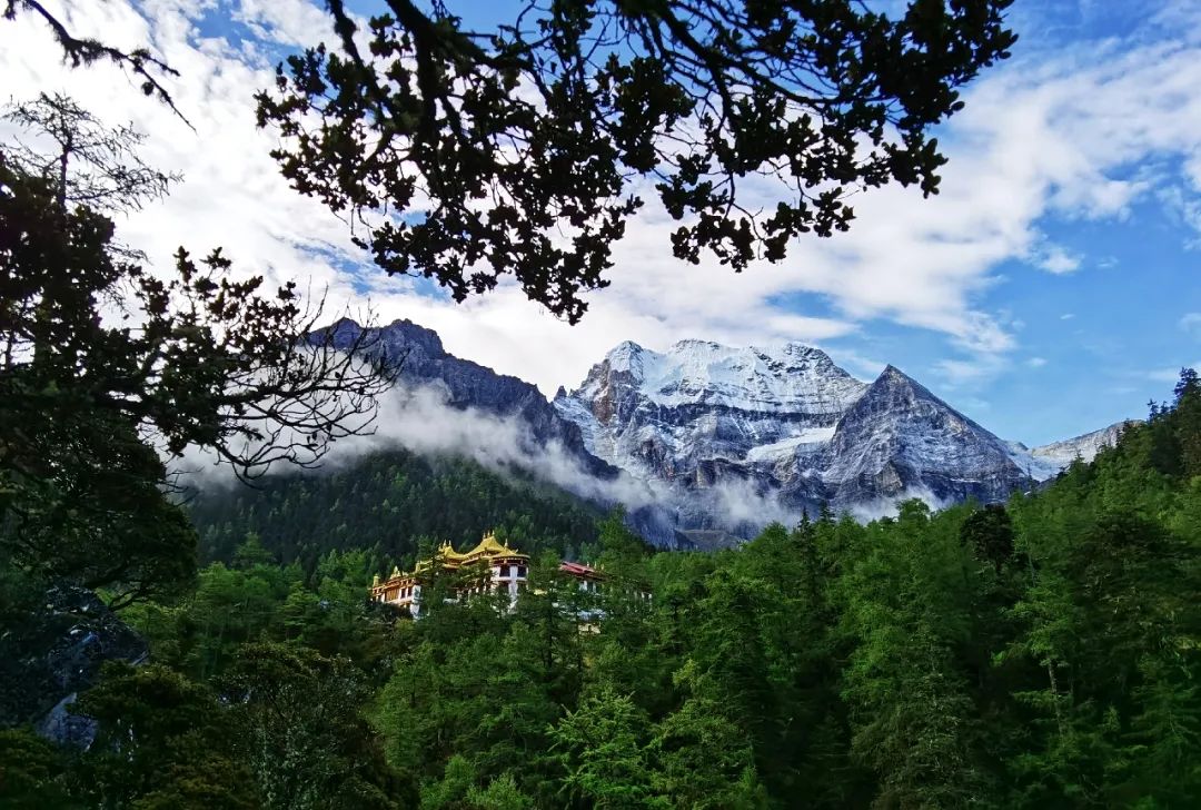 https://www.sczjw.net.cn:443/cms-web/ueditor/download?id=854516105572827136
