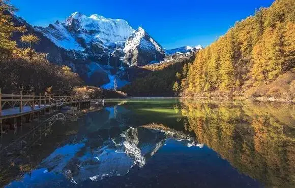https://www.sczjw.net.cn:443/cms-web/ueditor/download?id=854516736991739904
