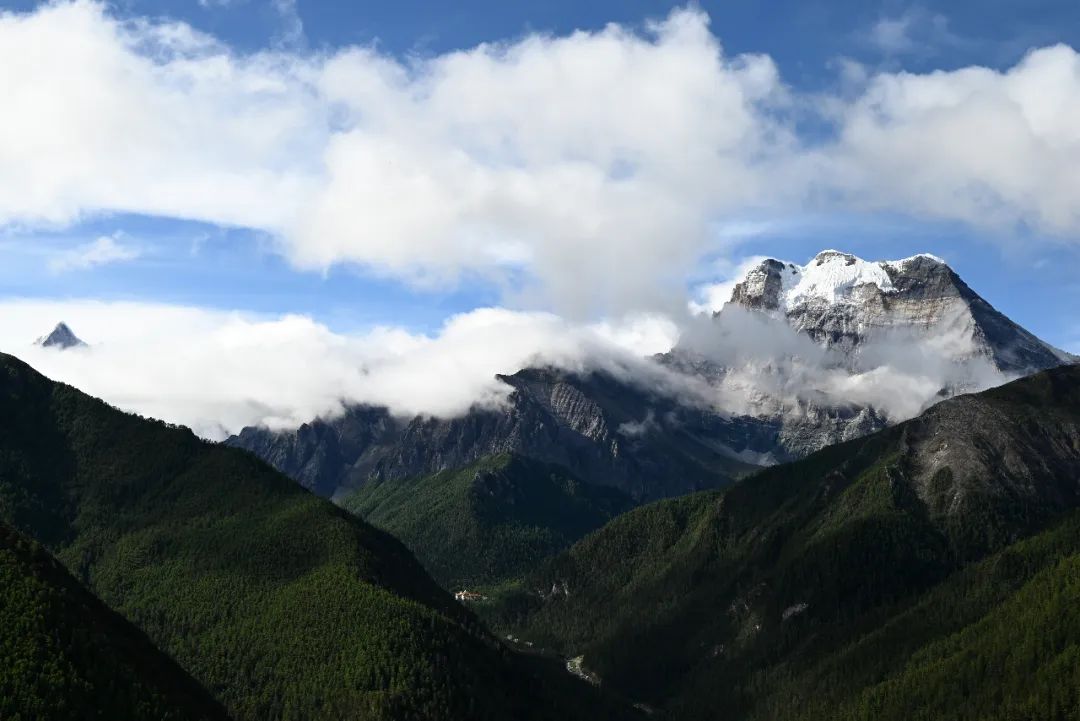 https://www.sczjw.net.cn:443/cms-web/ueditor/download?id=854516878310424576