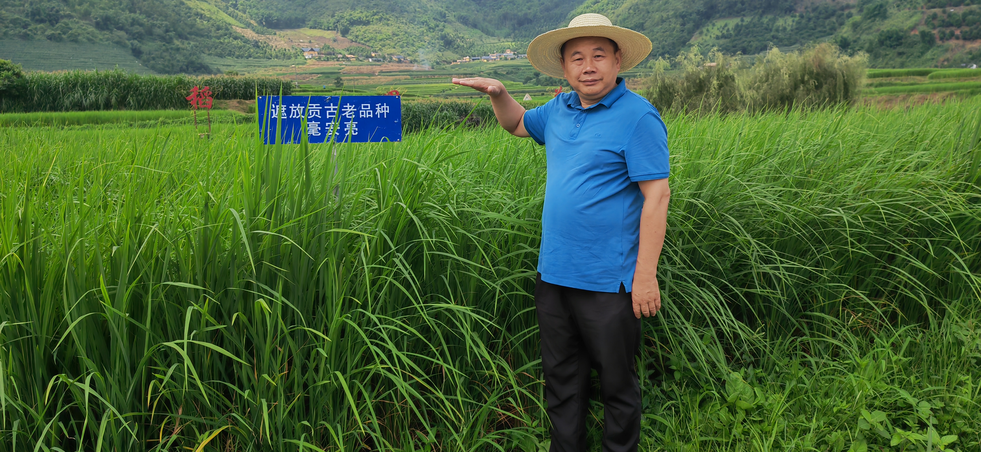 https://www.sczjw.net.cn:443/cms-web/ueditor/download?id=856750927284322304