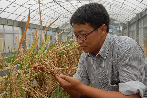 https://www.sczjw.net.cn:443/cms-web/ueditor/download?id=856751077281021952