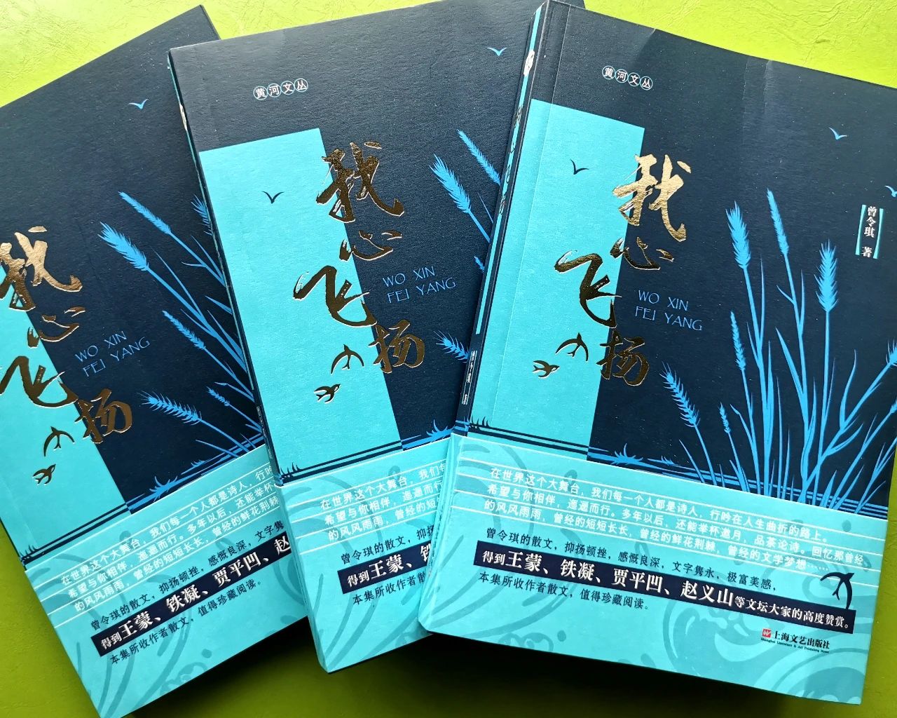 https://www.sczjw.net.cn:443/cms-web/ueditor/download?id=863933603925770240
