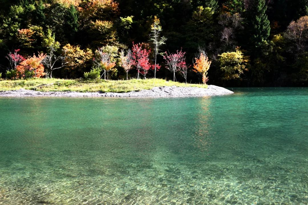 https://www.sczjw.net.cn:443/cms-web/ueditor/download?id=868275471892529152