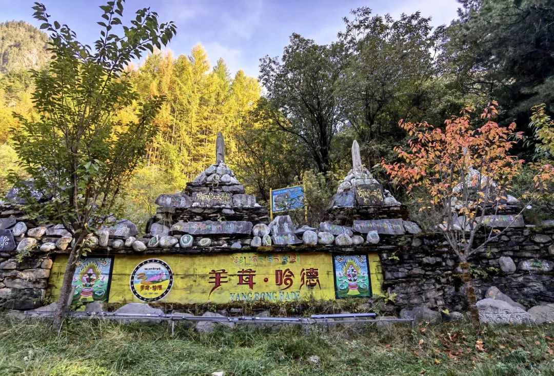 https://www.sczjw.net.cn:443/cms-web/ueditor/download?id=868275829620523008