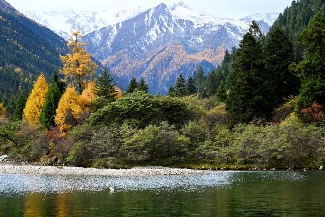 https://www.sczjw.net.cn:443/cms-web/ueditor/download?id=868279002510835712