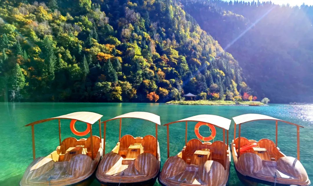 https://www.sczjw.net.cn:443/cms-web/ueditor/download?id=868279460176510976