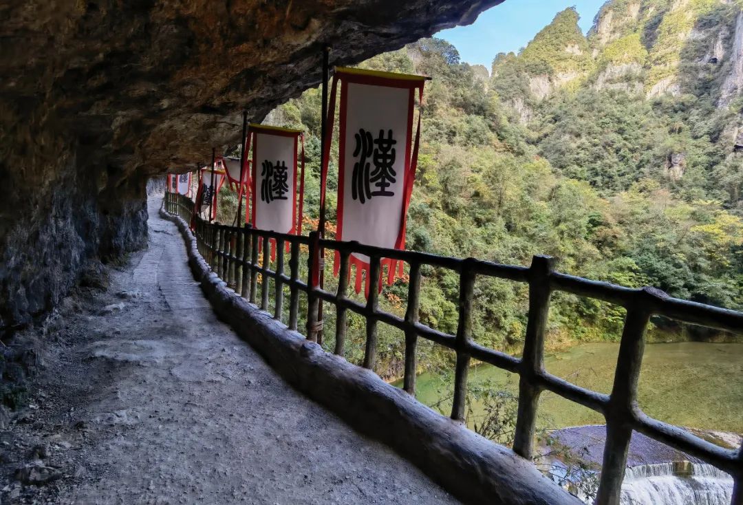 https://www.sczjw.net.cn:443/cms-web/ueditor/download?id=871172938728390656