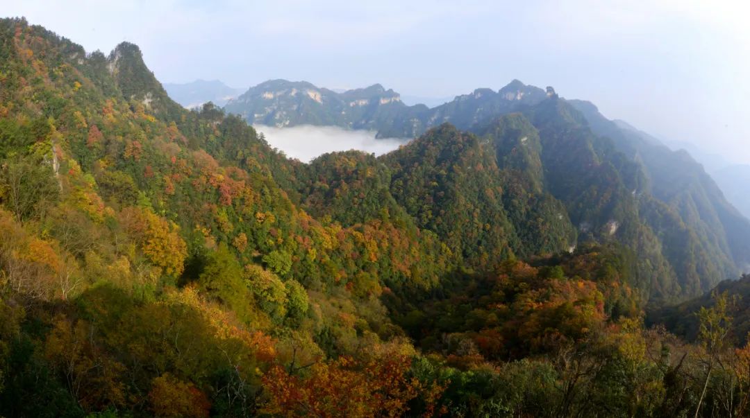 https://www.sczjw.net.cn:443/cms-web/ueditor/download?id=871173290131374080