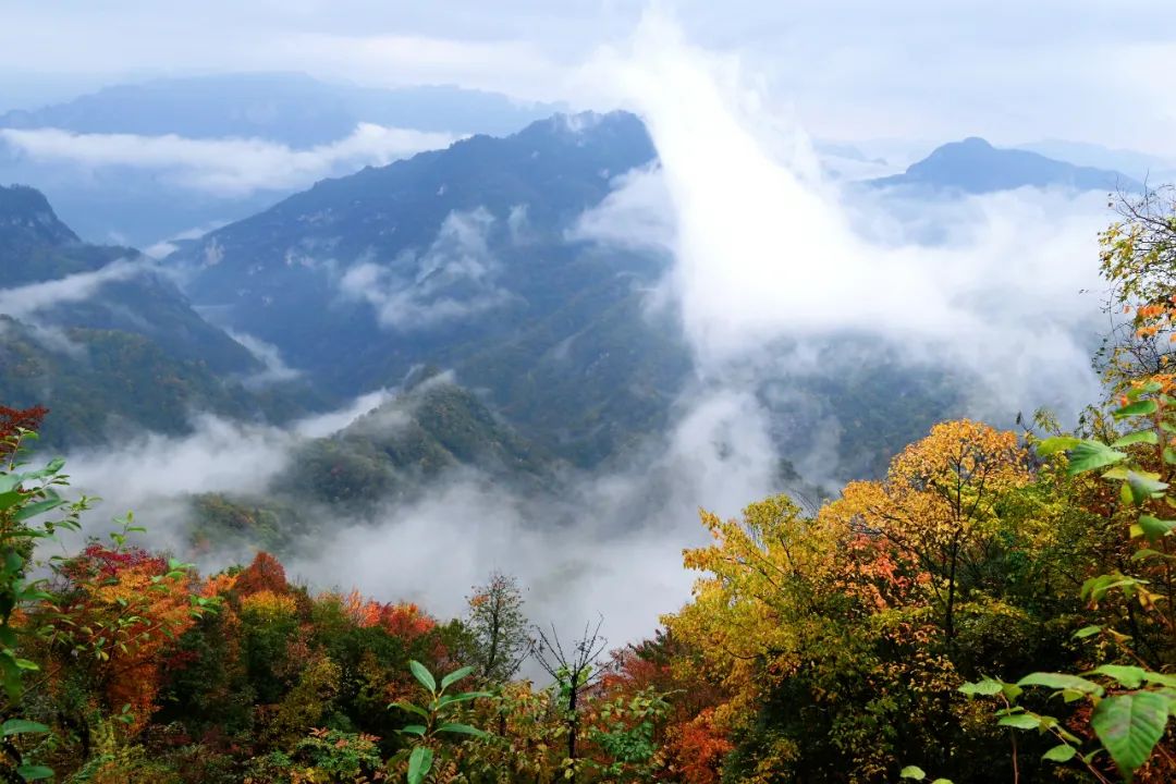 https://www.sczjw.net.cn:443/cms-web/ueditor/download?id=871173368149622784