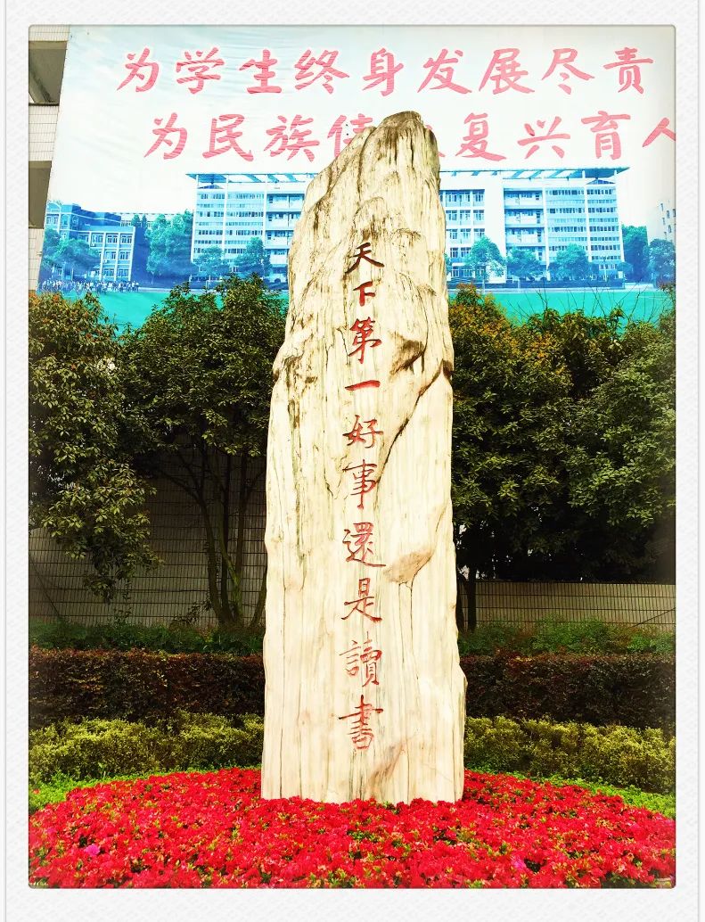 https://www.sczjw.net.cn:443/cms-web/ueditor/download?id=883597574409732096