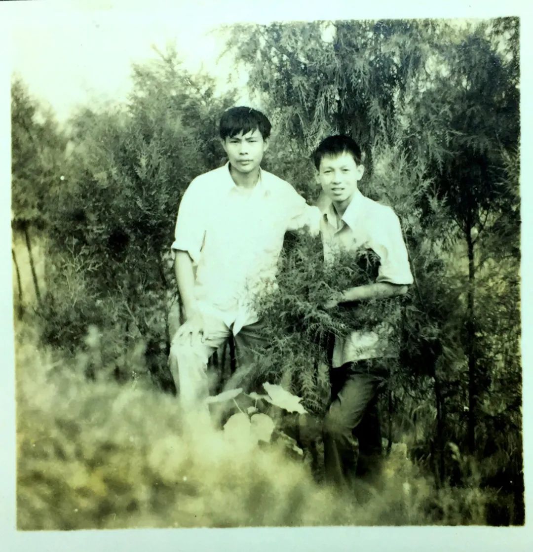 https://www.sczjw.net.cn:443/cms-web/ueditor/download?id=891842066215387136