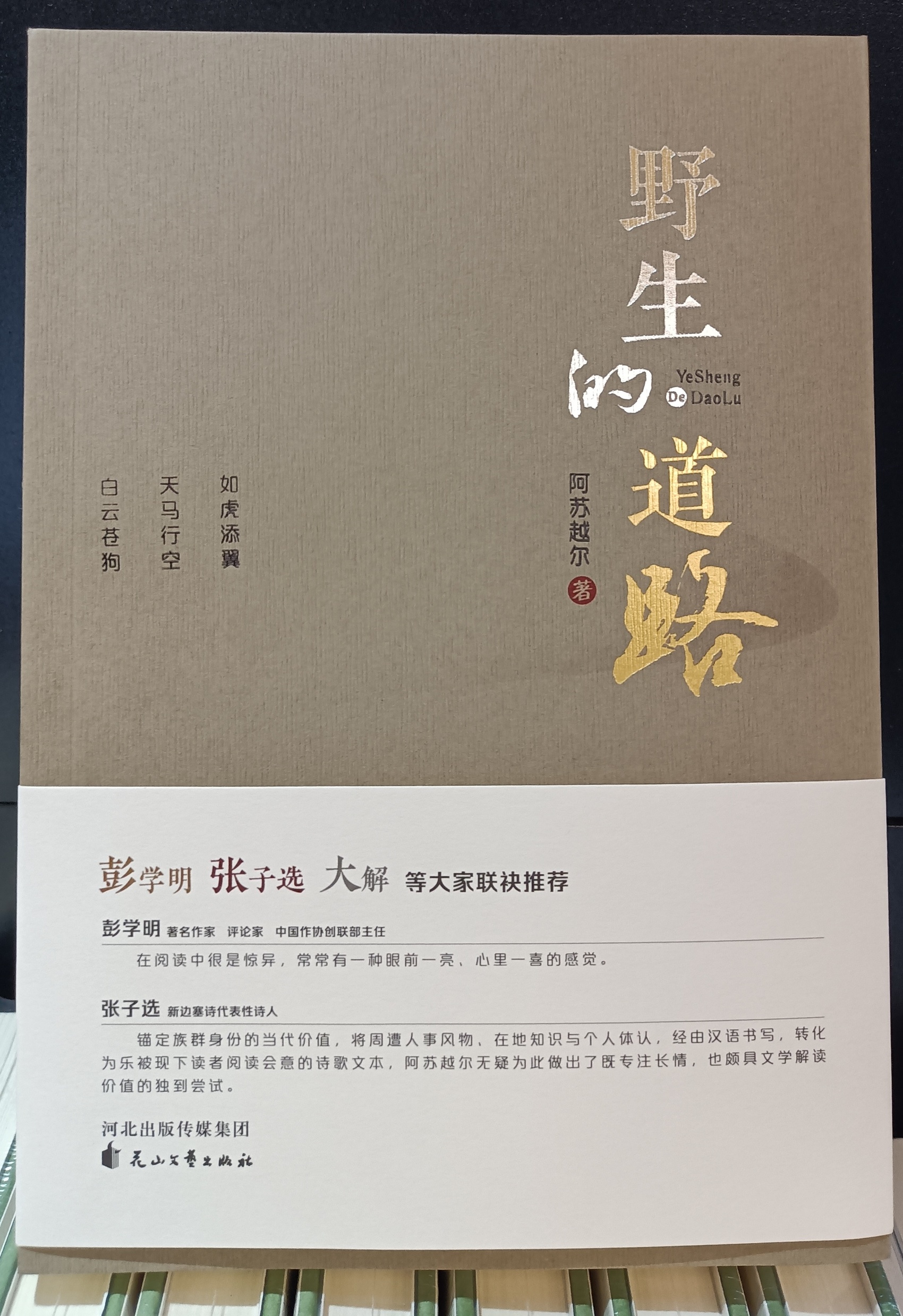 https://www.sczjw.net.cn:443/cms-web/ueditor/download?id=896557736362557440