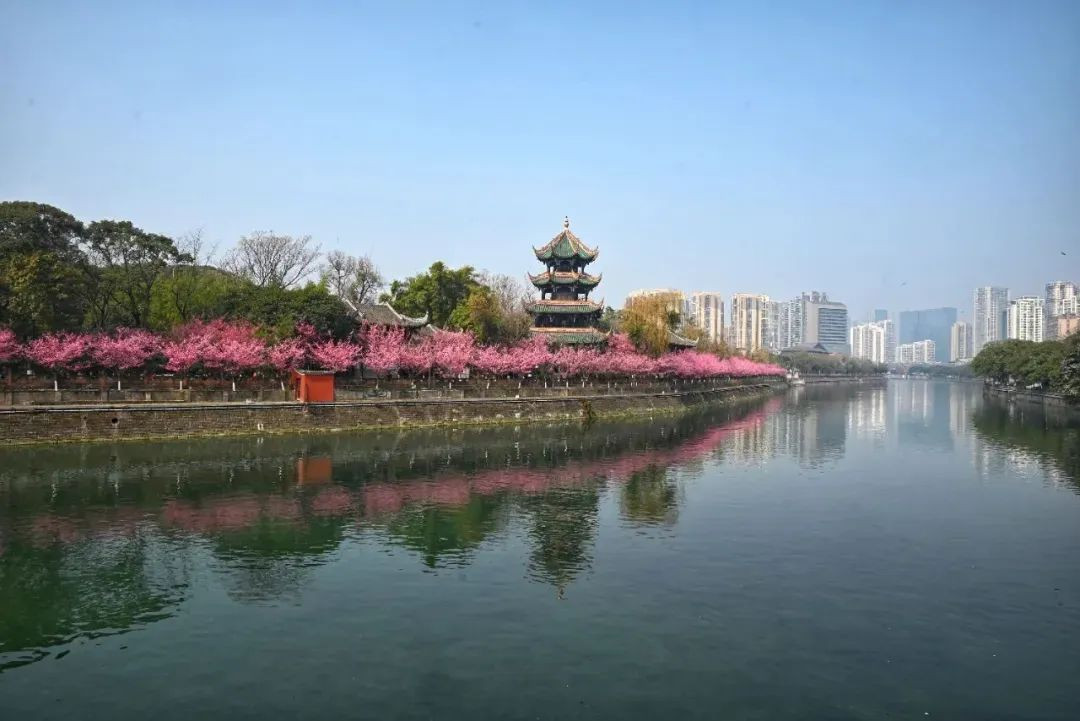 https://www.sczjw.net.cn:443/cms-web/ueditor/download?id=904588439859806208