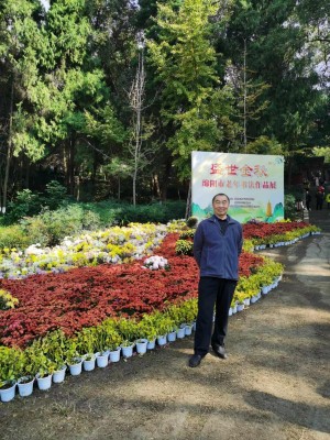 https://www.sczjw.net.cn:443/cms-web/ueditor/download?id=906028679881736192