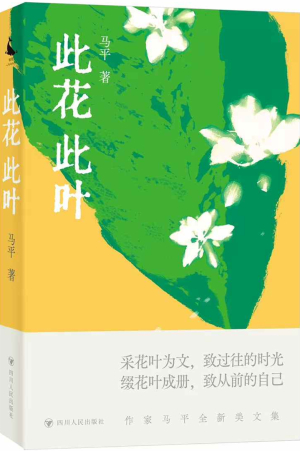 https://www.sczjw.net.cn:443/cms-web/ueditor/download?id=911129054754291712