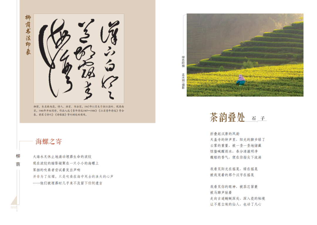 https://www.sczjw.net.cn:443/cms-web/ueditor/download?id=917645031351304192