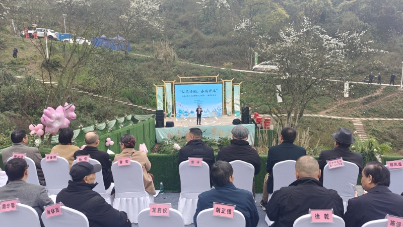 https://www.sczjw.net.cn:443/cms-web/ueditor/download?id=921262137098289152