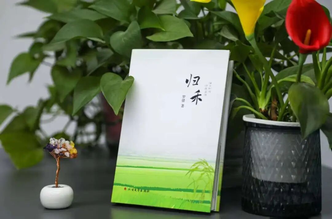 https://www.sczjw.net.cn:443/cms-web/ueditor/download?id=987240195840065536