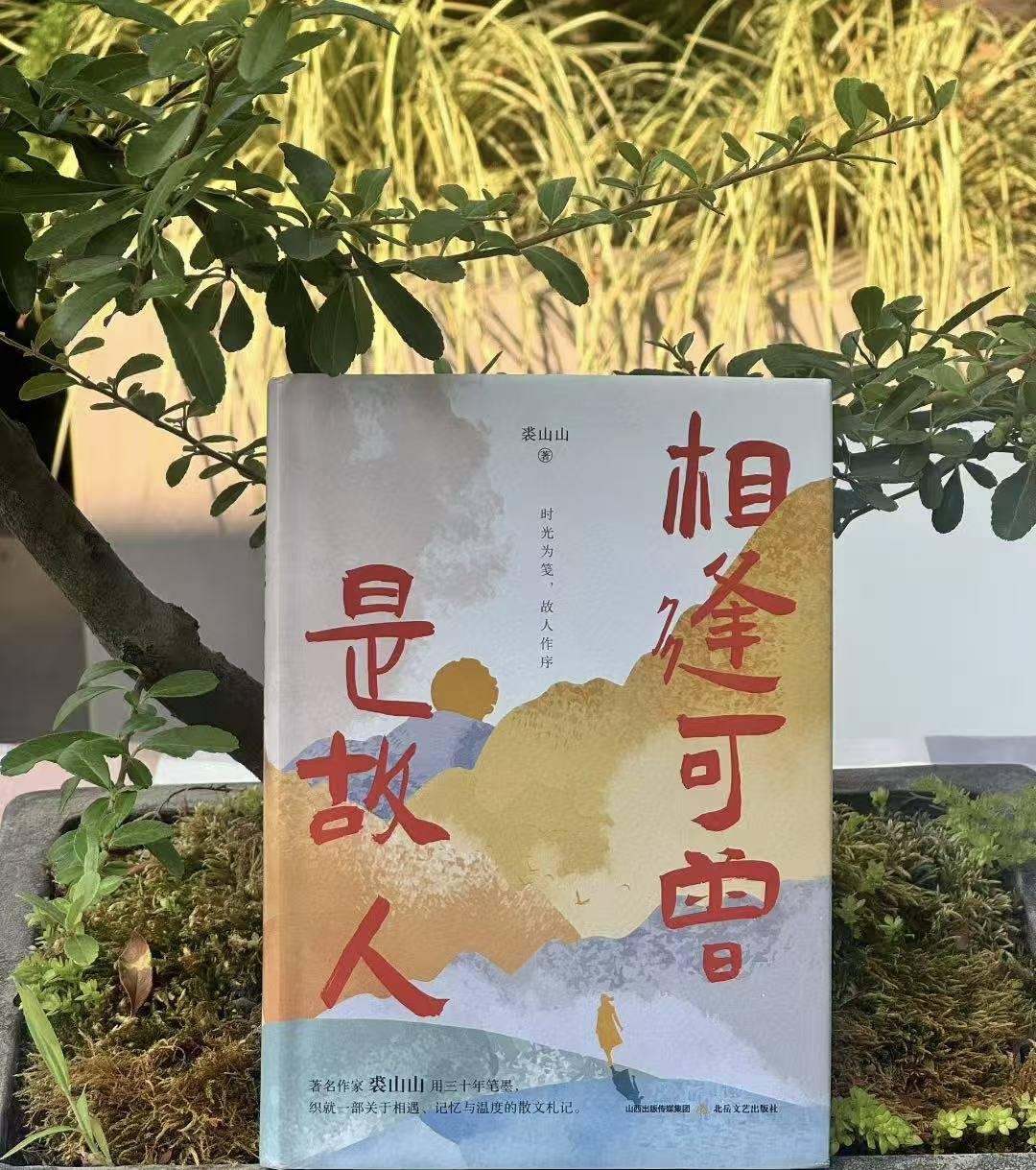 https://www.sczjw.net.cn:443/cms-web/ueditor/download?id=987501155658022912