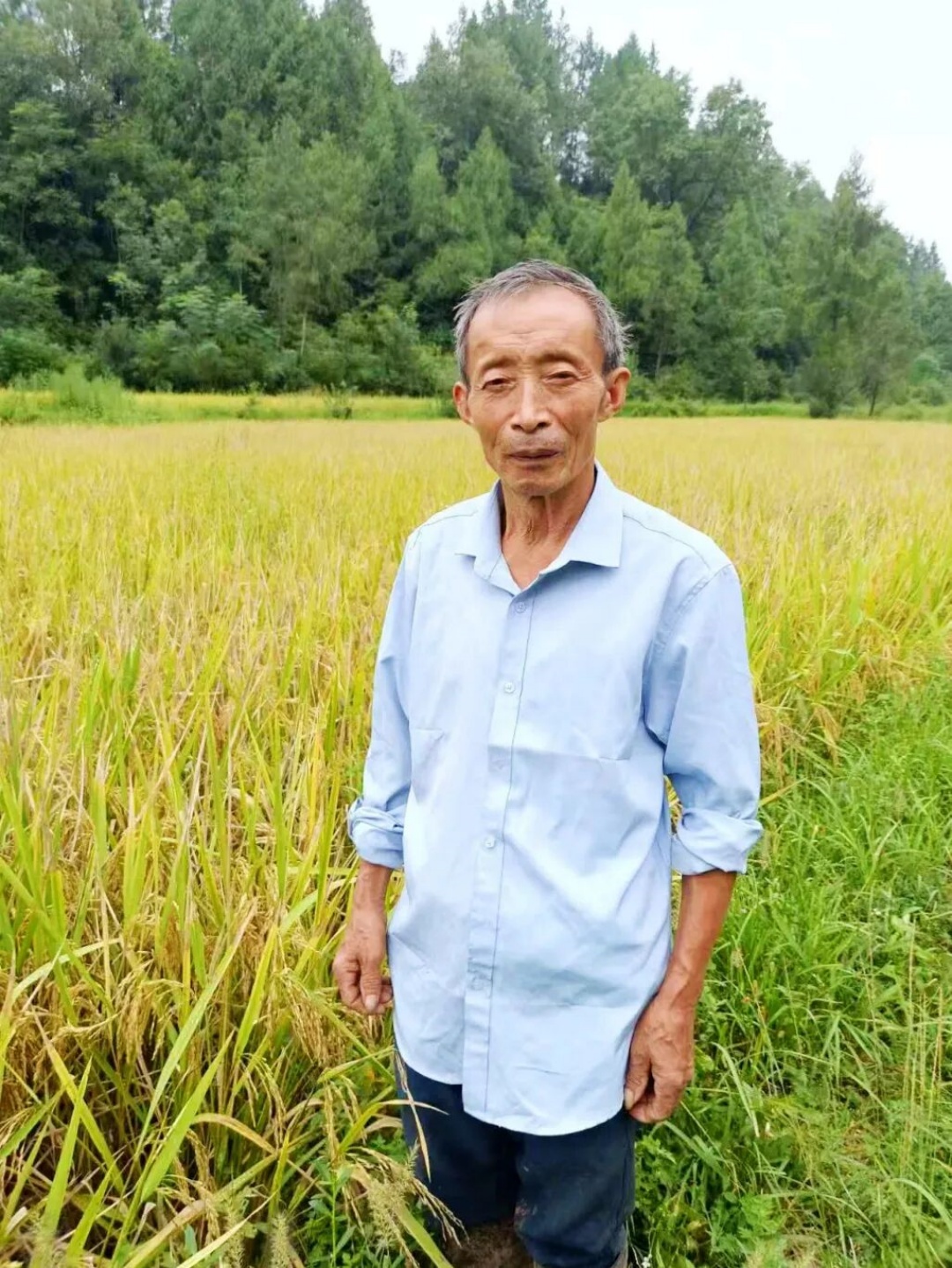 https://www.sczjw.net.cn:443/cms-web/ueditor/download?id=996212188812460032